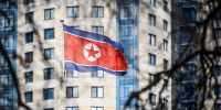 A North Korean flag flies in front of a building outside, image framed by tree branches